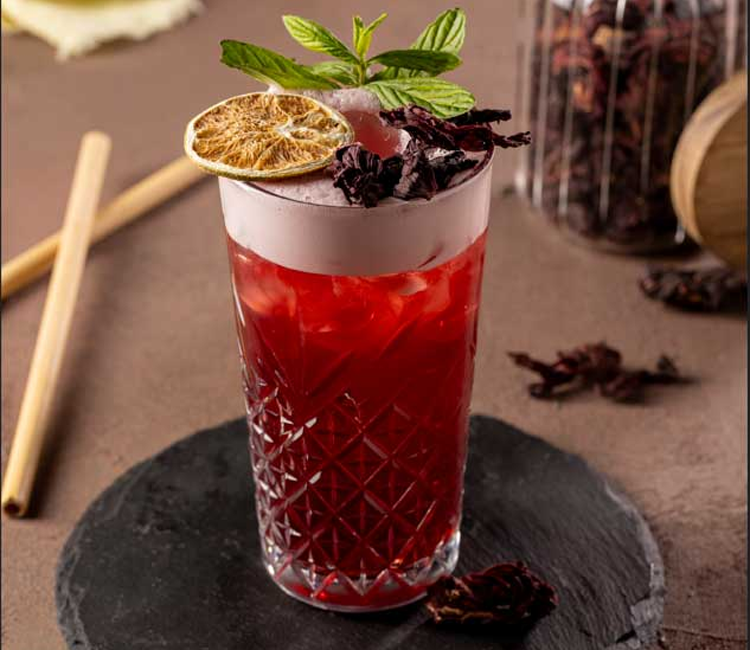 Berry Hibiscus